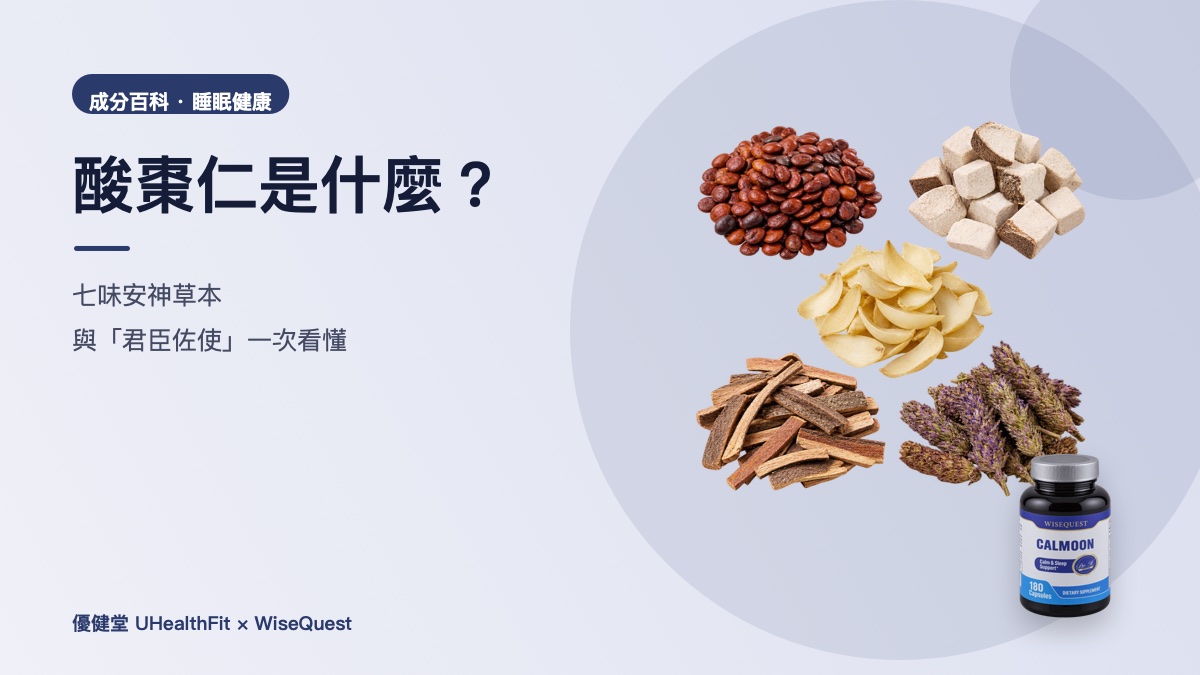 酸棗仁是什麼?七味安神草本與「君臣佐使」一次看懂